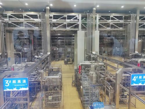 實地參觀，見證數(shù)字化力量 2024印刷業(yè)數(shù)字化工廠建設推進會圓滿收官